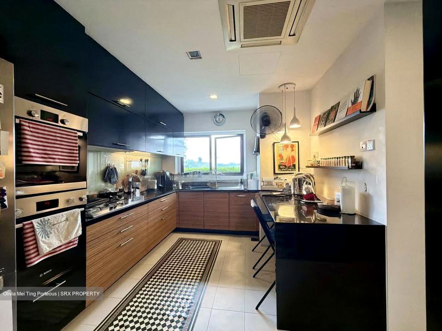 The Arcadia (D11), Condominium #632828671
